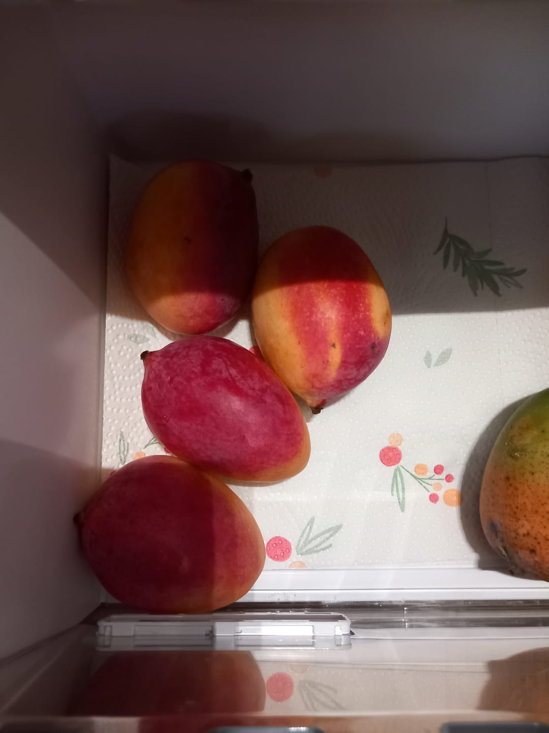 Customer photo review of Mango Sensacion Bio Spätsorte von Paco Sonderpreis %