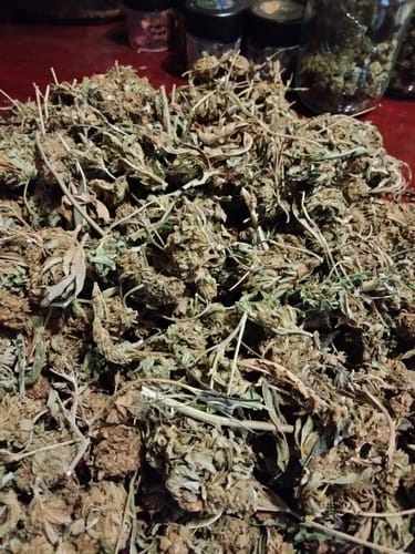 Customer photo review of Cap City Kush – Budget THCA (Full Size)