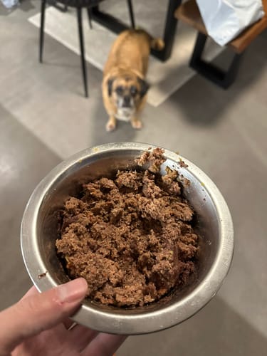 Customer photo review of Frischfutter für Energiebedarf von 676 kCal/Tag