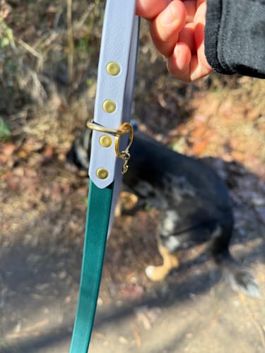 Customer photo review of Clay - Classic Biothane Dog Leash
