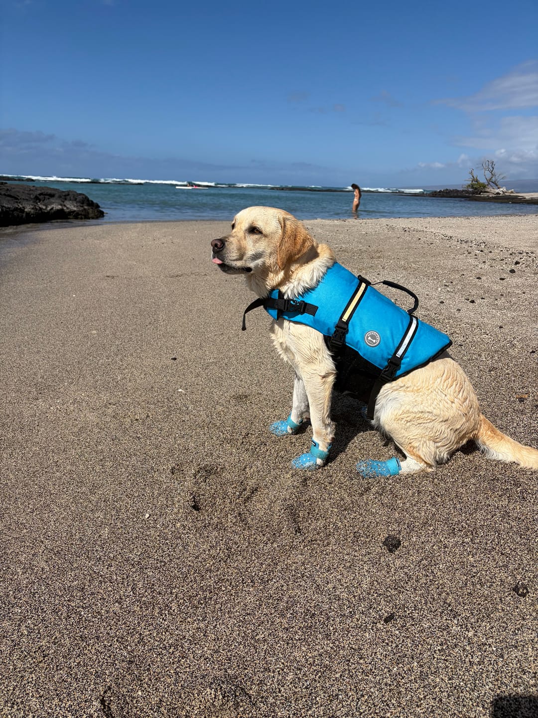Customer photo review of WagWellie® Mojave Single