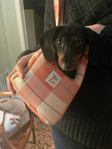 Customer photo review of Borsa Cotone Panama Scozzese Trama Rosa Pesca