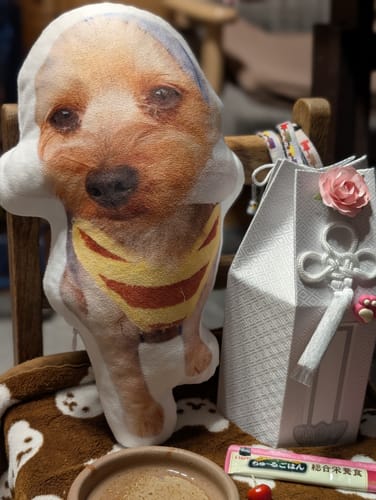 Customer photo review of 本物そっくり♪ペットクッション