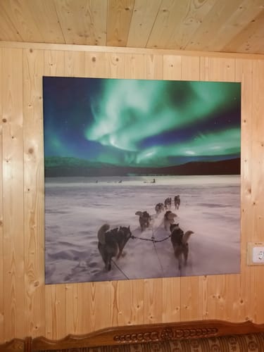 Customer photo review of Leinwandbild | Nordlichter und Schlittenhunde | Quadrat
