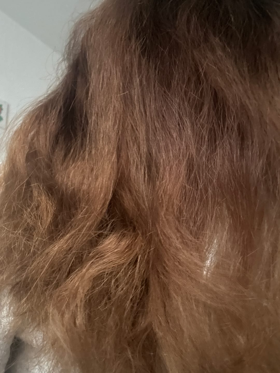Customer photo review of Veganes Haaröl für schnelles Wachstum