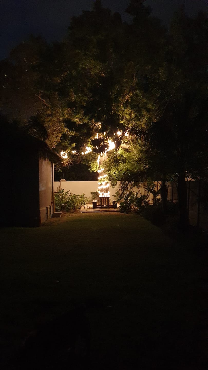 Customer photo review of Outdoor Heavy Duty Fairy Lights 10m Warm White - Black String