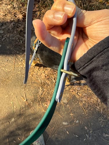 Customer photo review of Clay - Classic Biothane Dog Leash