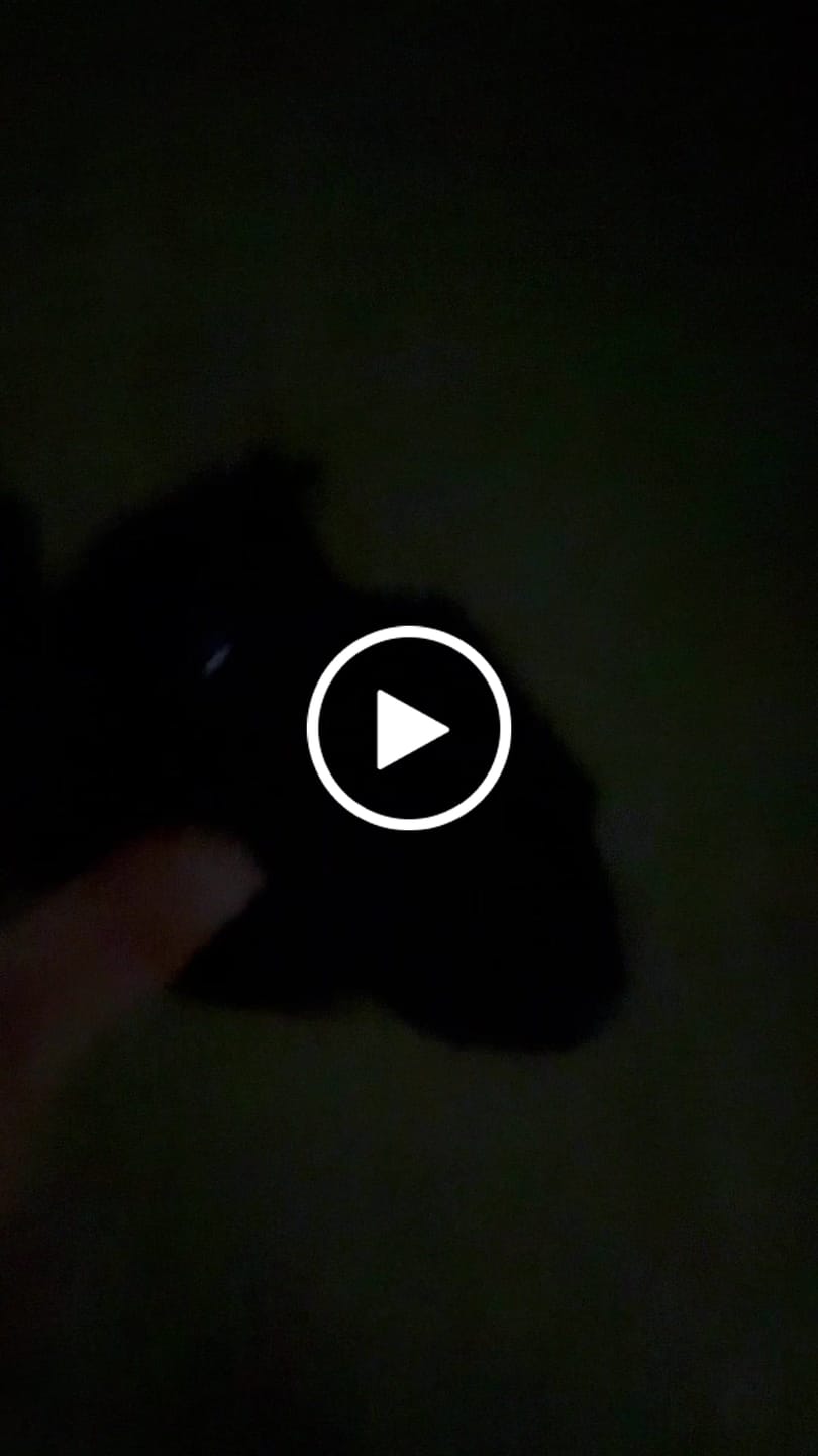 Customer video review of 4K Tactical Night Vision Goggles Infrared Binoculars for Hunting