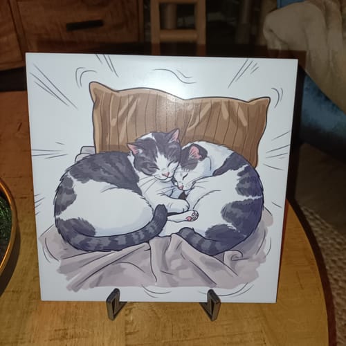 Customer photo review of Jouw Huisdier in Karikatuur Stijl als Tegel - Direct Voorbeeld