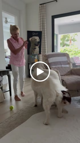 Customer video review of Pet Art Canvas Wrap