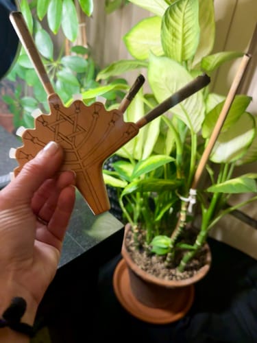 Customer photo review of Advent Calendar: Eight Hazy Nights