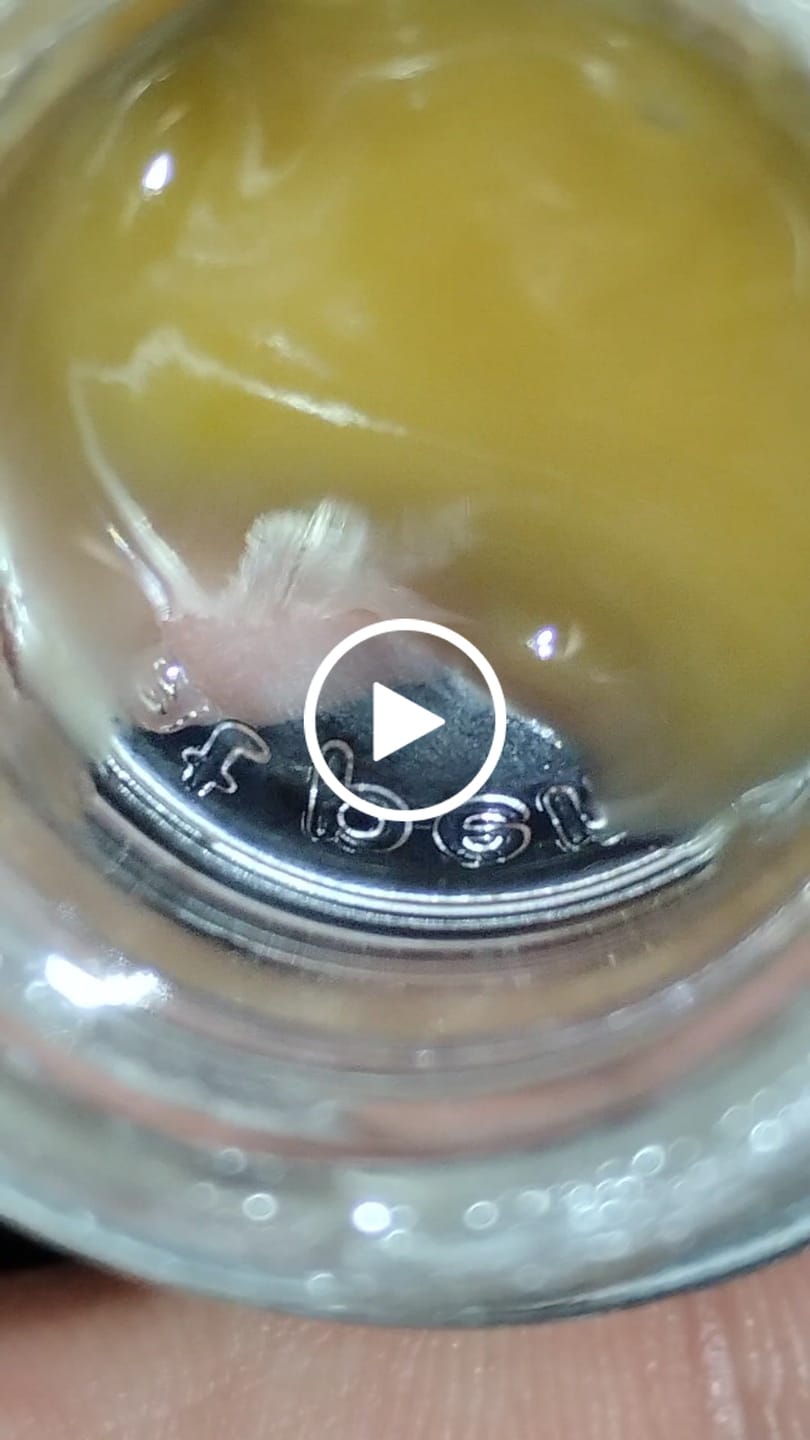 Customer video review of Tier 2 Sour GMO THCa Live Hash Rosin