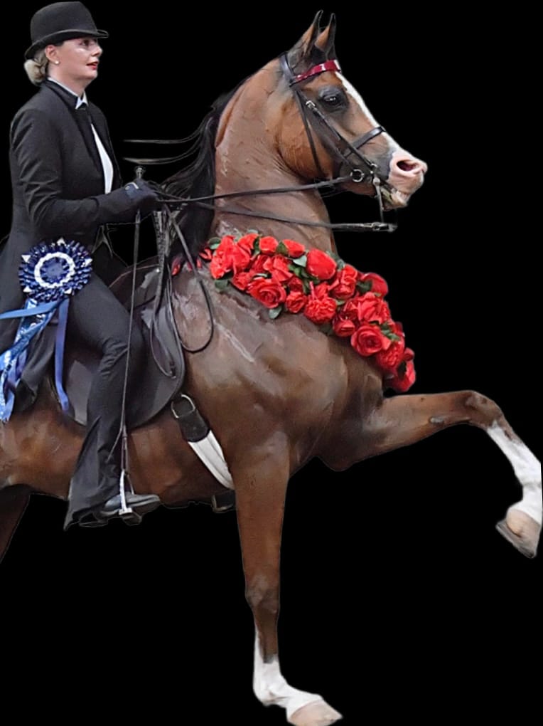 Customer photo review of Equimin Trophy (Supplement For Horses & Game)