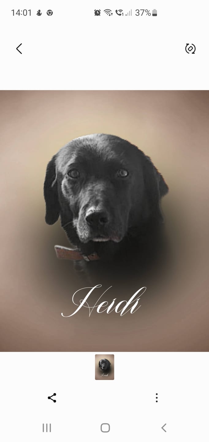 Customer photo review of Portrait Art Huilé