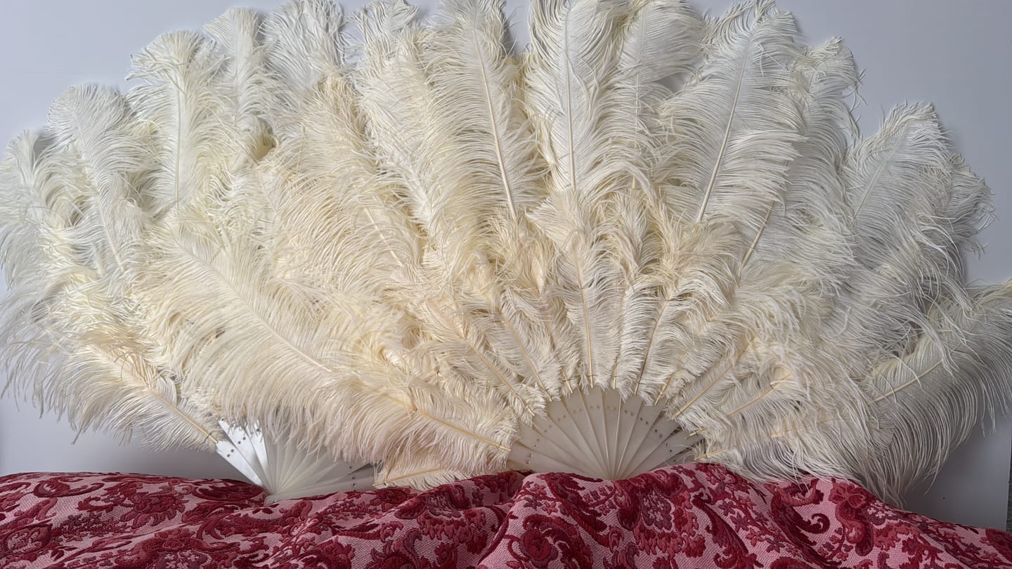 Customer photo review of beige 2 layers Ostrich Feather Fan 30"x 54"