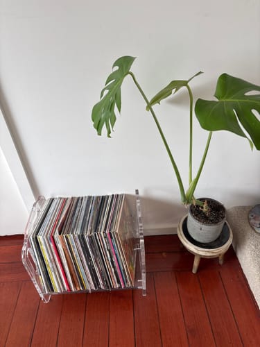 Customer photo review of Prisma 140 - Acrylic Vinyl Record Shelf
