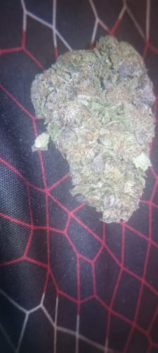 Customer photo review of Cheap THCA Flower Ounce