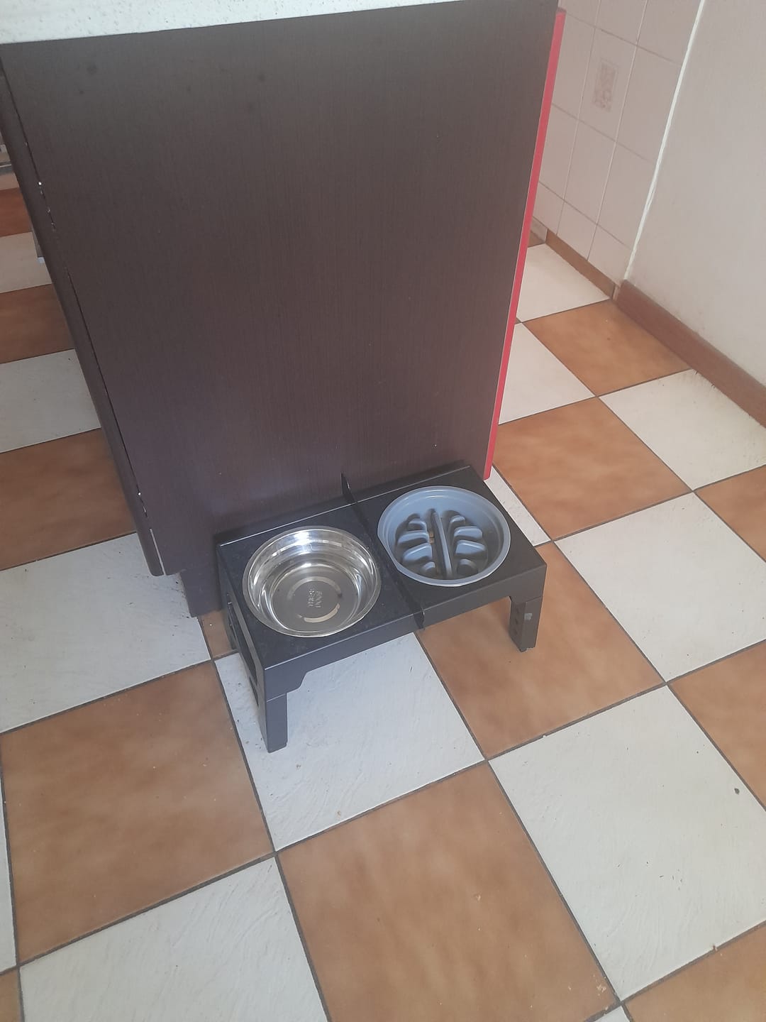 Customer photo review of Comedero Elevado THE DOGS Postura correcta en cada comida