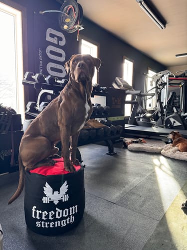 Customer photo review of Strongman Sandbag V3