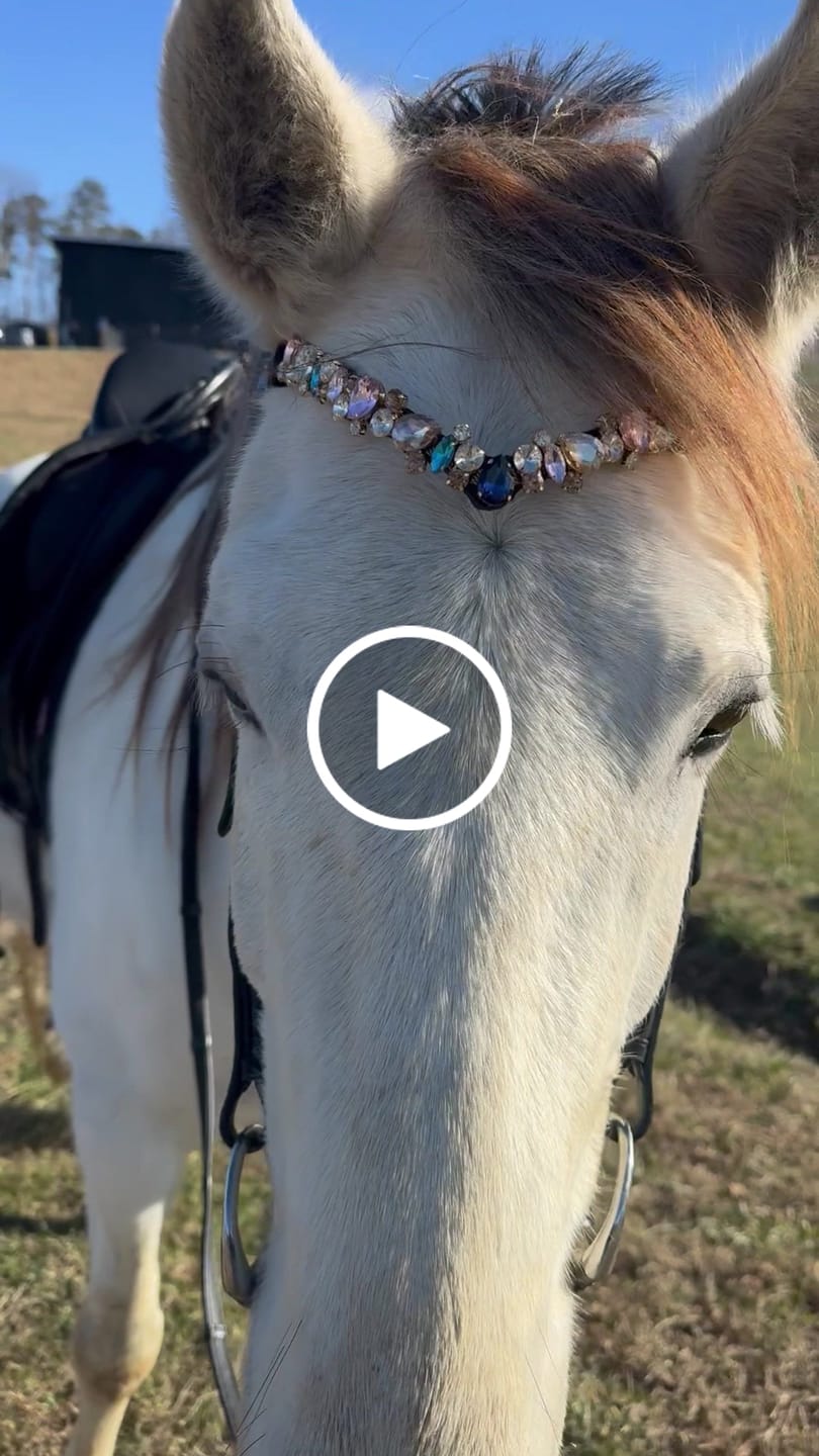Customer video review of Ania browband