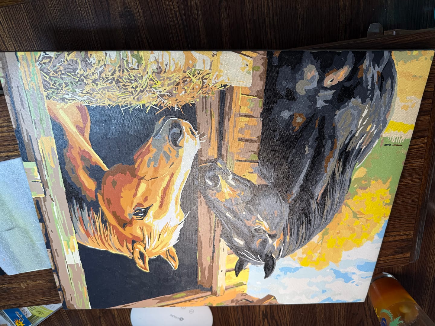 Customer photo review of Stable Companion