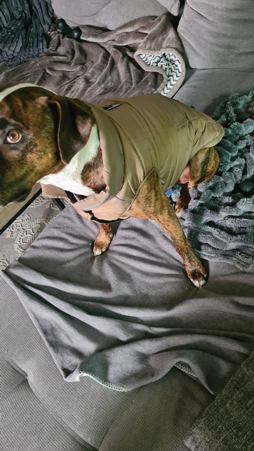 Customer photo review of WarmShield Water-Resistant Jacket - Tan