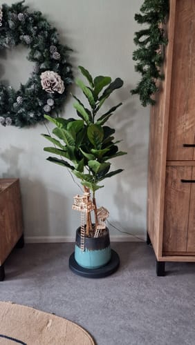 Customer photo review of Ficus Kunstplant 130cm