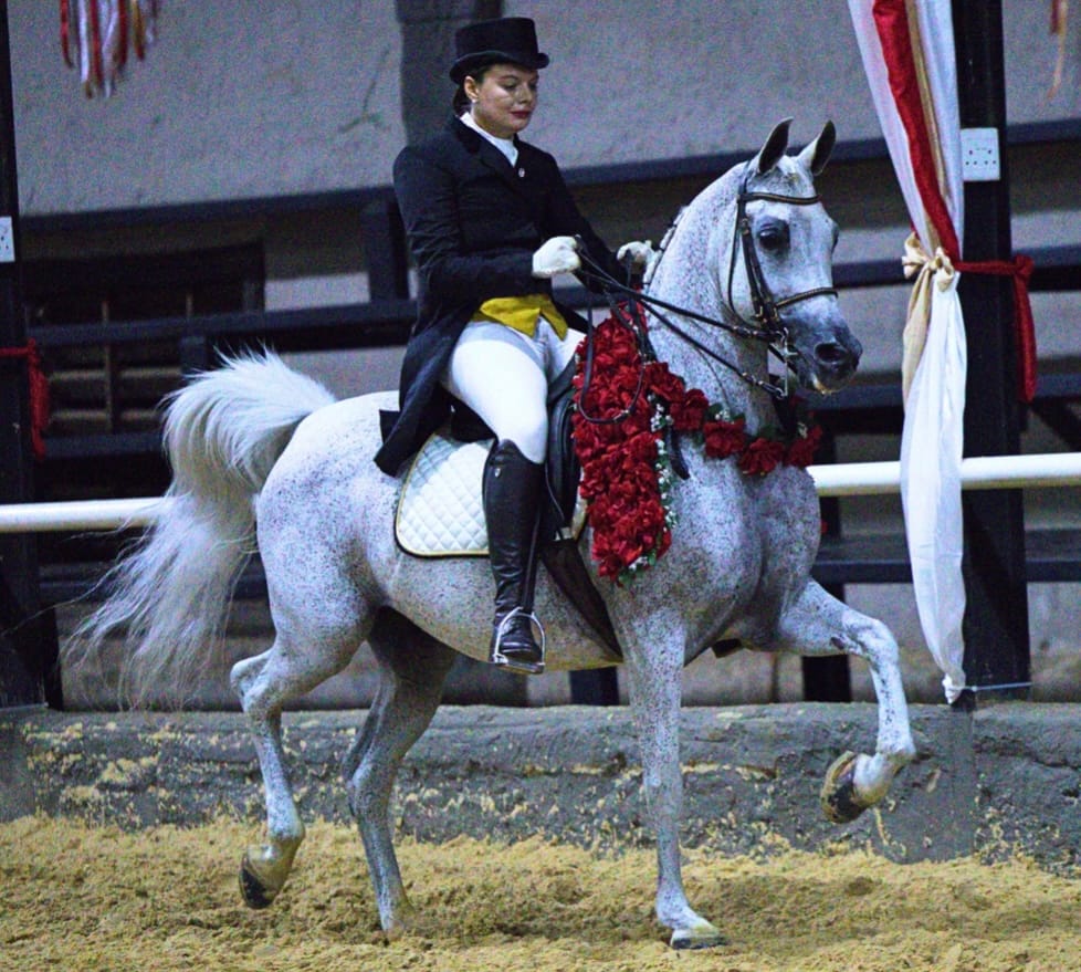 Customer photo review of Flexcare Equine (Joint Supplement For Horses)