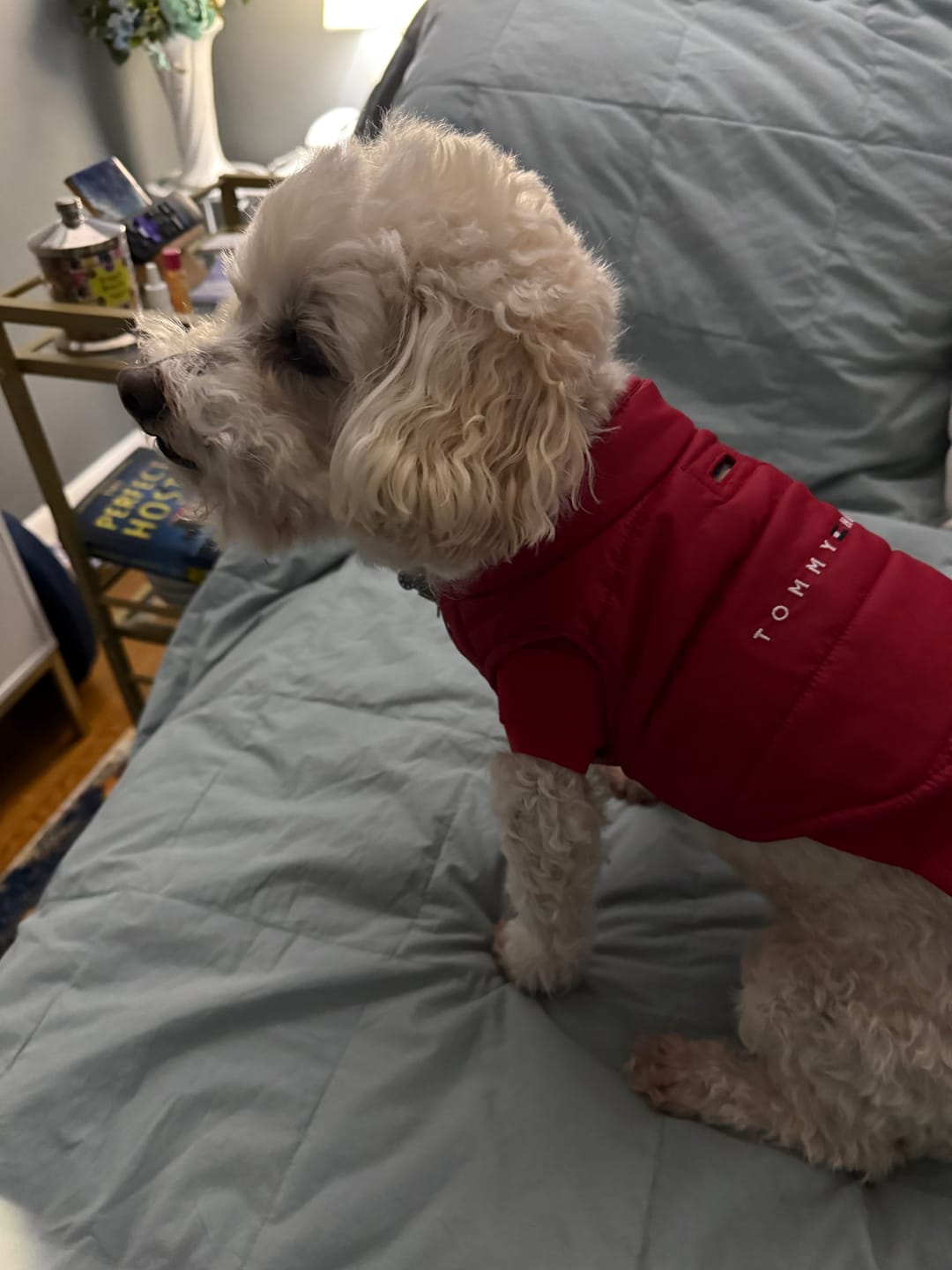 Customer photo review of Tommy Hilfiger Dog Logo Print Padding Jacket
