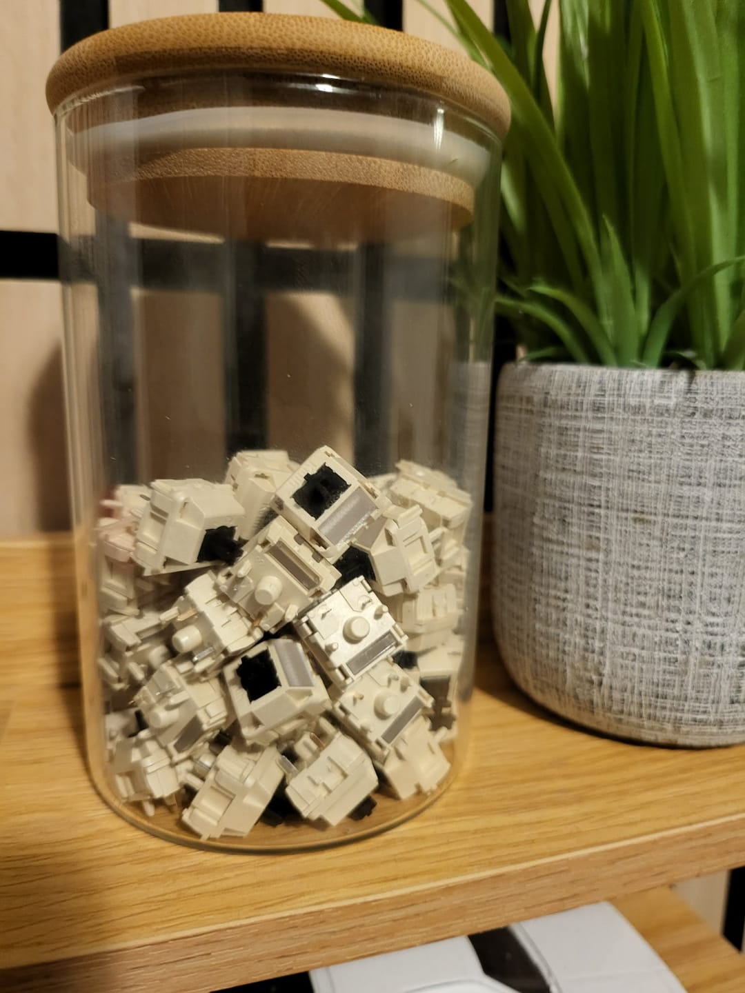 Customer photo review of KAILH Calligraphy LINEAR SWITCH FACTORY LUBED (10PCS)