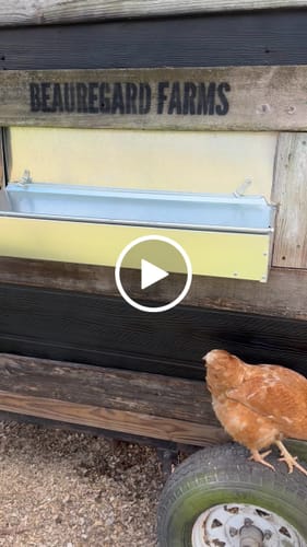 Customer video review of Medium (34") Reversible Rollout Nest Box (Up to 32 Hens)