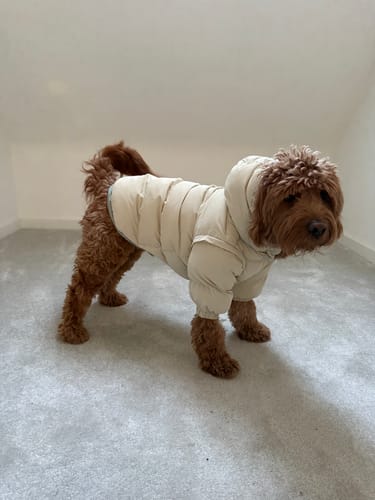 Customer photo review of Marshmallow | The Modular Puffer