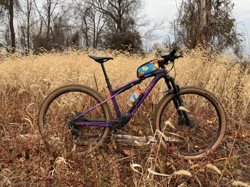 Customer's customized mountain bike with the purple and gold Euphoria Frame Keeper, parked in a field of tall, dry grass.