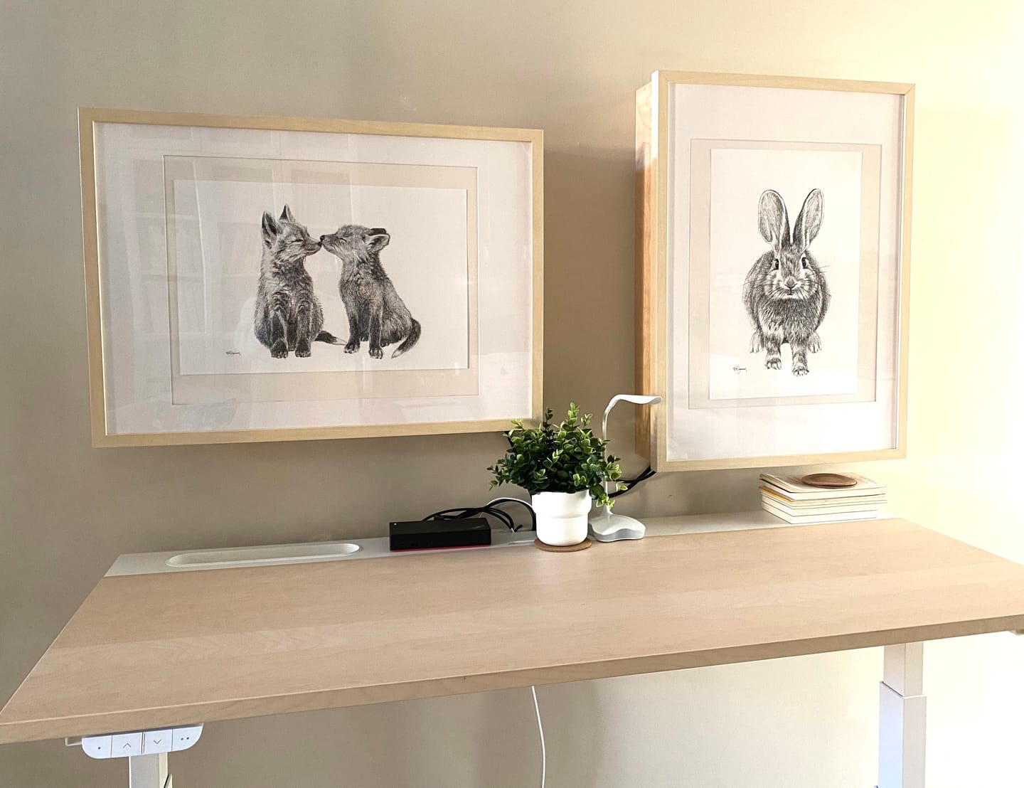 Customer photo review of DUO Adorable rabbits