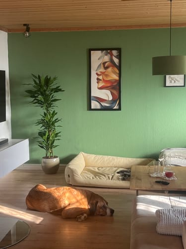 Customer photo review of Poster | Wellen der Emotionen | Hochformat