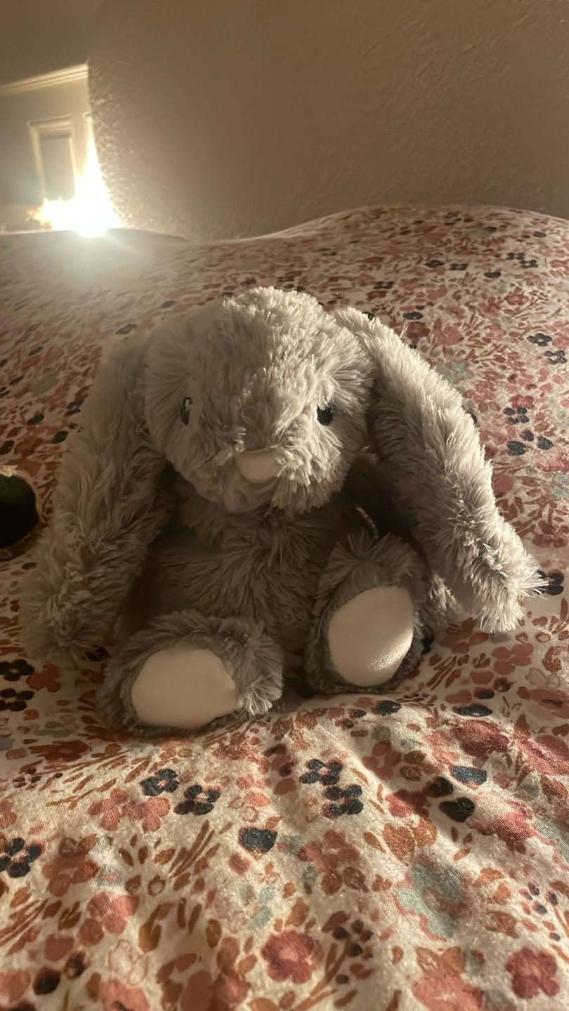 Customer photo review of 🐰 Pépin le lapin