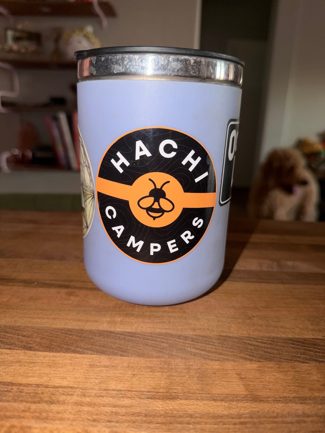 Customer photo review of Vinyl Stickers