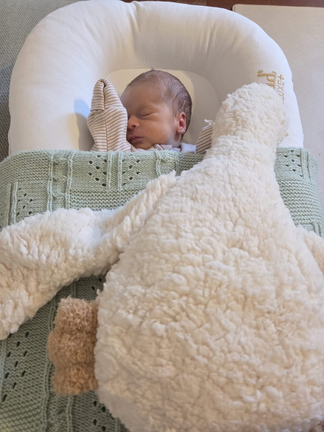 Customer photo review of Handmade Cuddle Duck