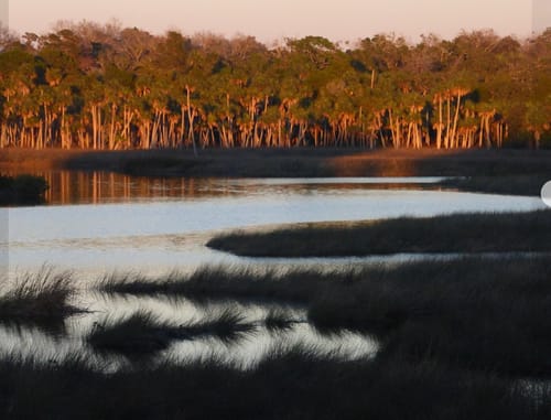 Customer photo review of 10x13 Giclee Fine Art Prints