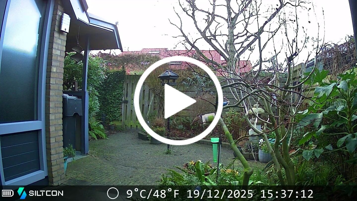 Customer video review of Siltcon® Wildcamera Nachtzicht en wifi 4K