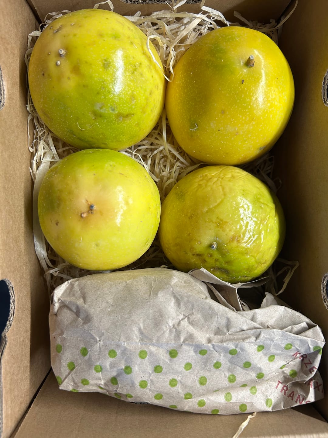 Customer photo review of Maracuja gelb 2kg Box Sonderaktion %