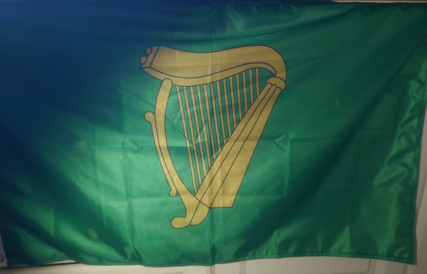 Customer photo review of Personalised Standard Flag