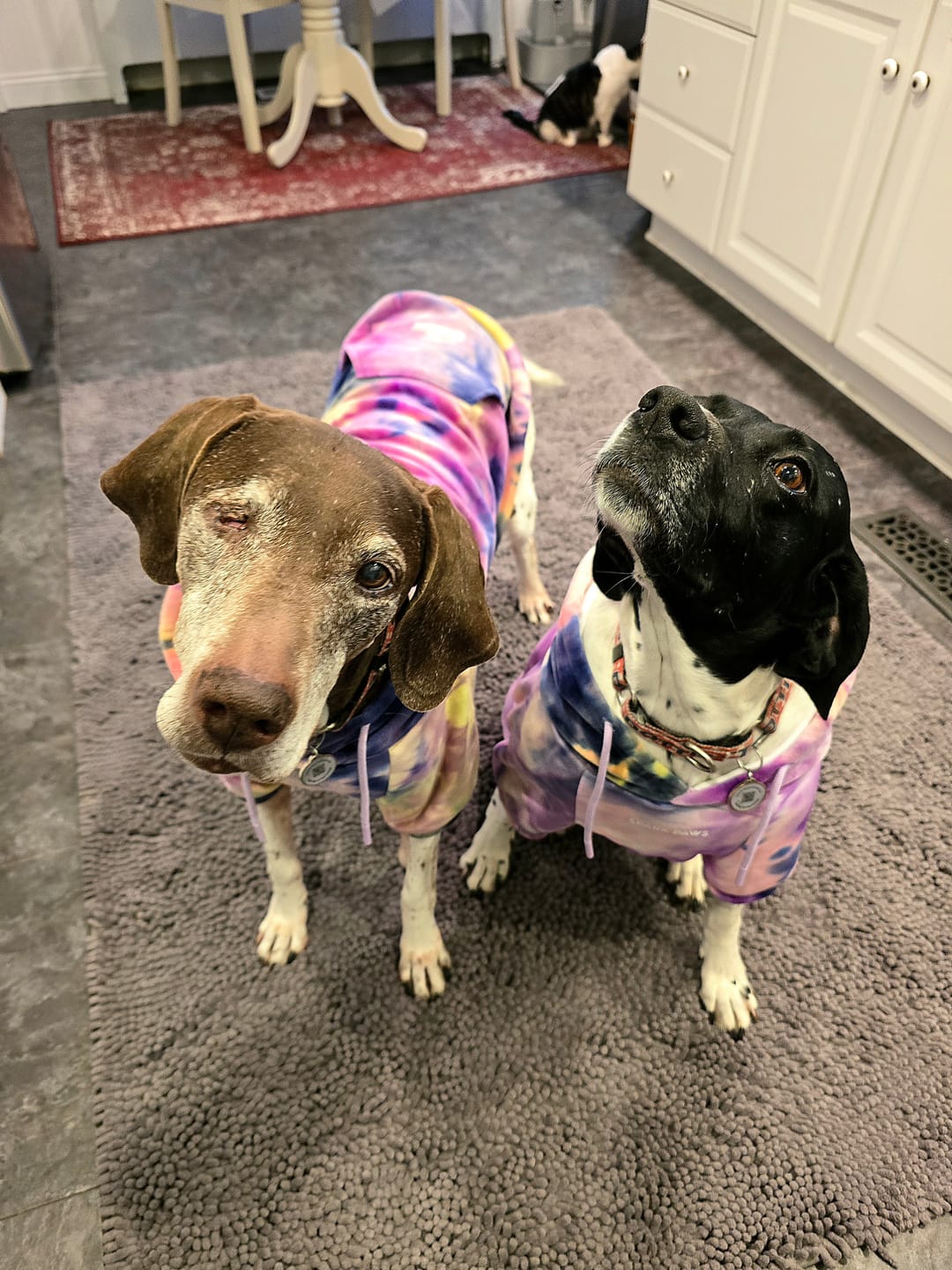 Customer photo review of Velvet Human Hoodie - Berry Lemonade