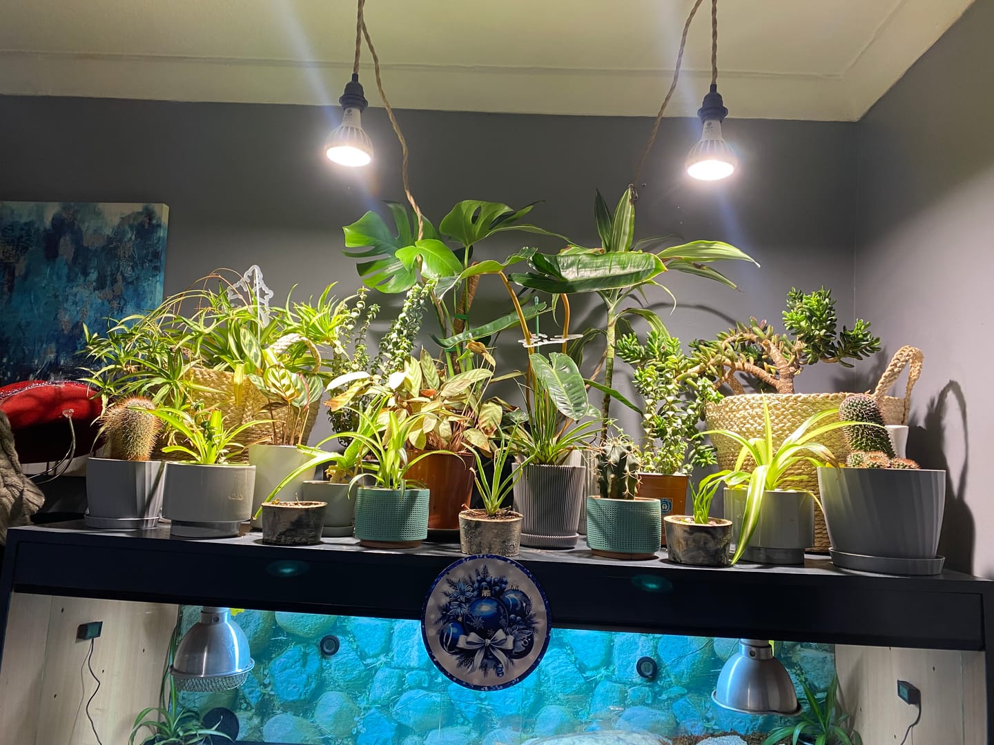Customer photo review of Pianta LED Grow Light 3-Pack bundle