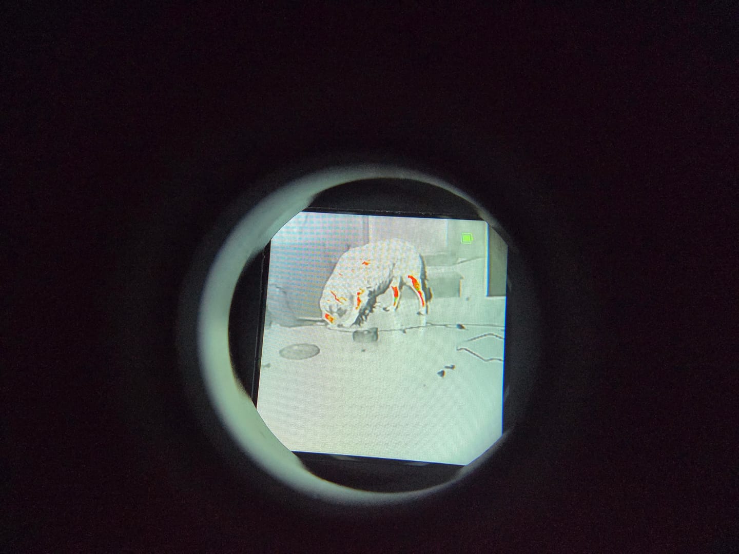 Customer photo review of [NEW] HEAT & VIPER 4.0 Thermal Night Vision Goggle Bridge Combo
