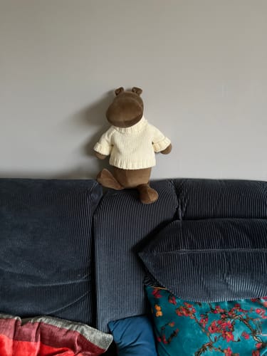 Customer photo review of MOMO, L'HIPPOPOTAME - L