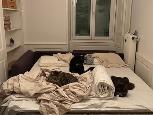 Customer photo review of Wake Up As Your Best Self With Our Grounding Sheet Set!