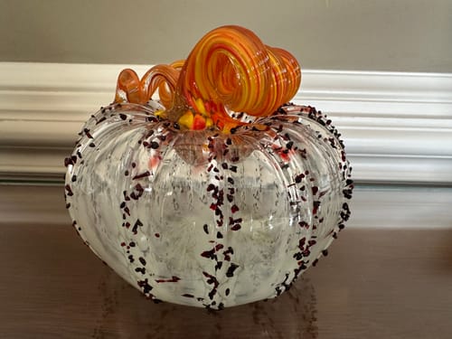 Customer photo review of Daily Pumpkin 660 Holiday Squat