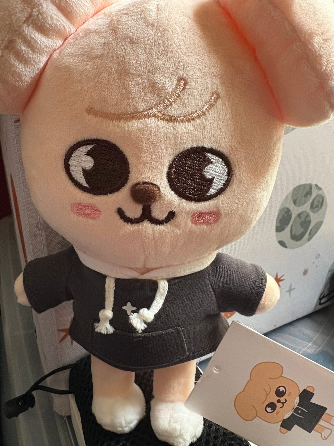 Customer photo review of STRAY KIDS - SKZ'S MAGIC SCHOOL OFFICIAL MD SKZOO PLUSH ORIGINAL VER.