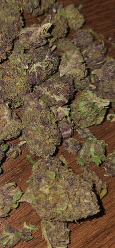 Customer photo review of Granddaddy Purple - 14 Grams - Indica